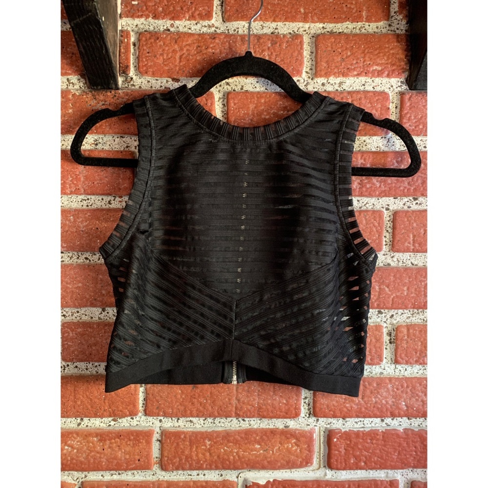 Bebe Sheer Crop Top